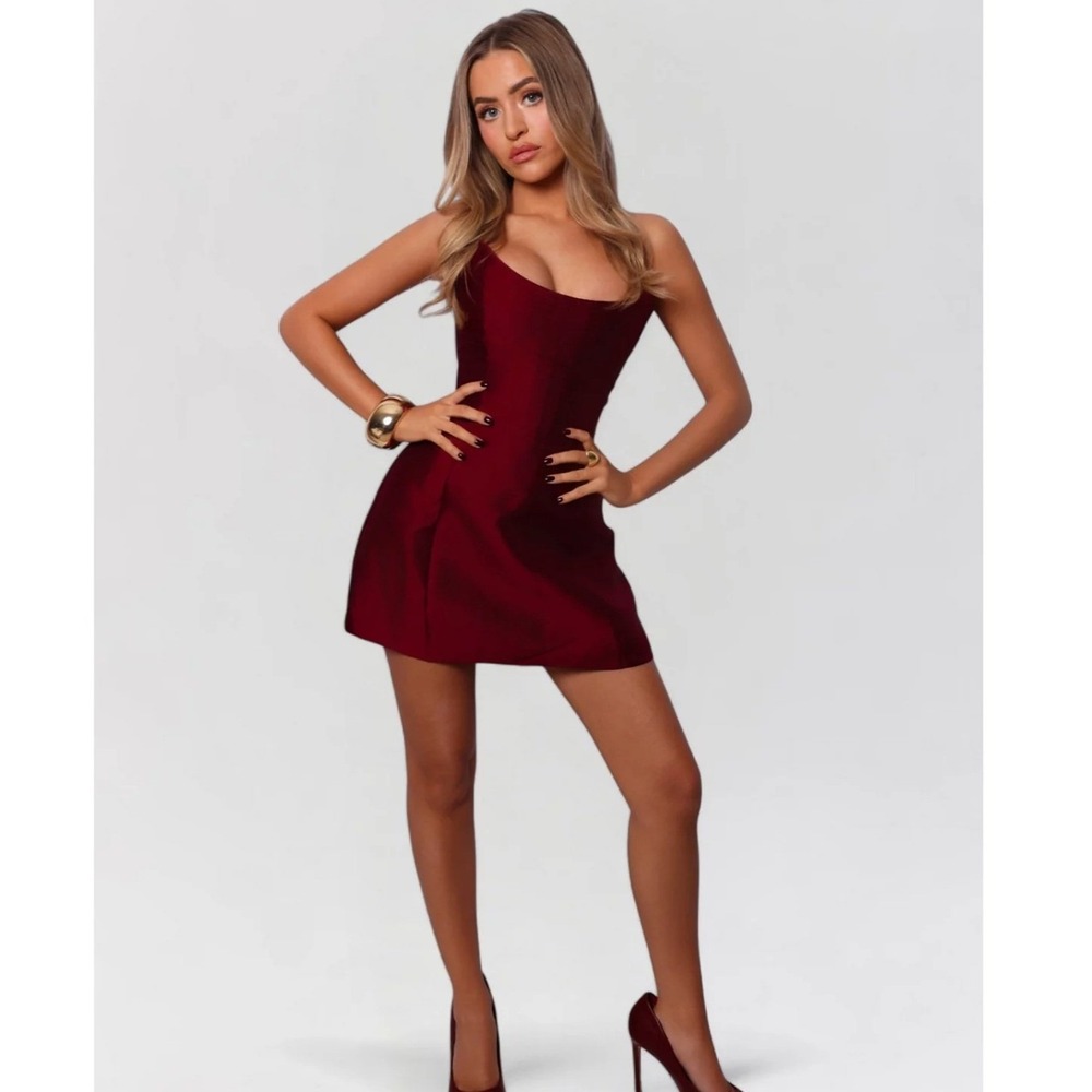 Heiress The Sheen Corset Mini Dress in Burgundy
